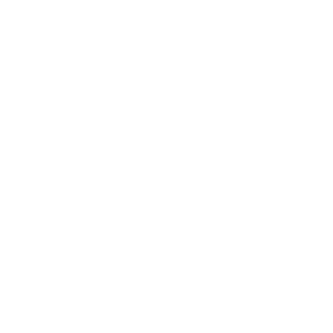 Land freight textile industry